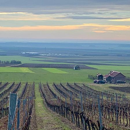Kuca Za Odmor Kiss-Karanac,Baranja Exterior foto