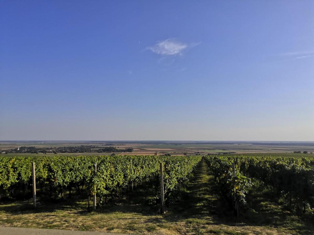 Kuca Za Odmor Kiss-Karanac,Baranja Exterior foto