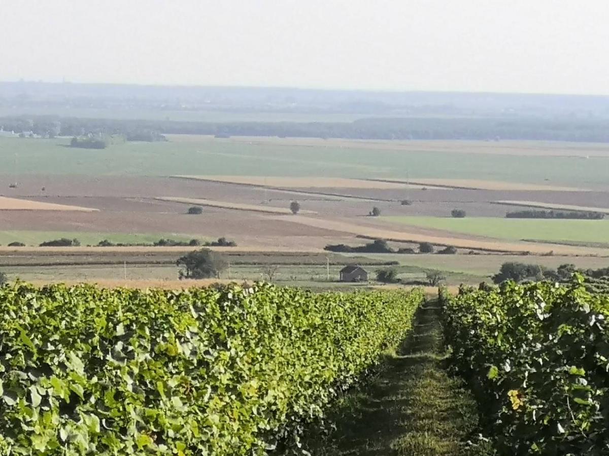 Kuca Za Odmor Kiss-Karanac,Baranja Exterior foto