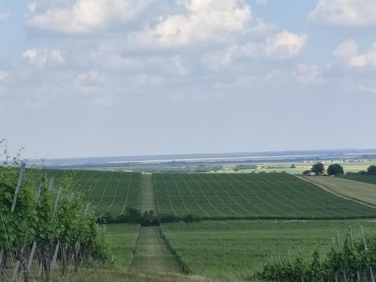 Kuca Za Odmor Kiss-Karanac,Baranja Exterior foto